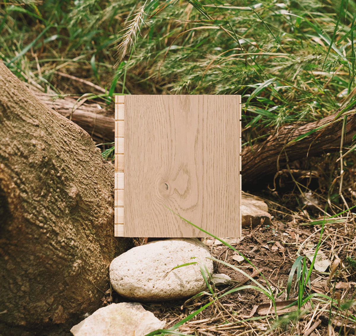 Ingrid biophilic wood flooring on a rock in a forest