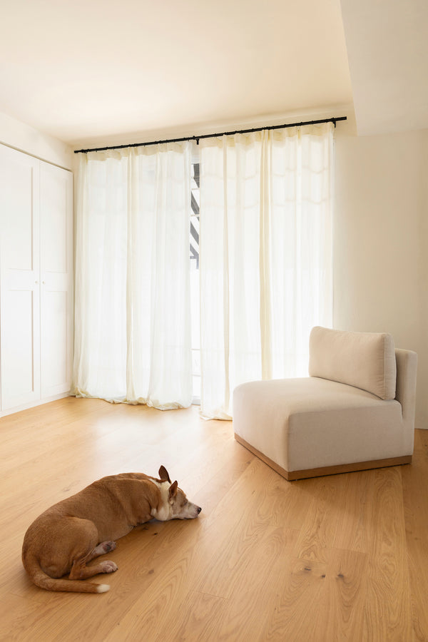 Dog laying on Stuga waterproof wood flooring with a modern chair