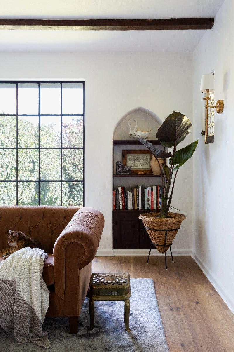Cat on a brown sofa in a Spanish revival living room with hand scraped white oak flooring