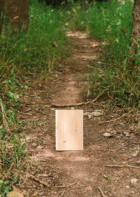 Drift natural white oak flooring sample by Stuga on a forest pathway