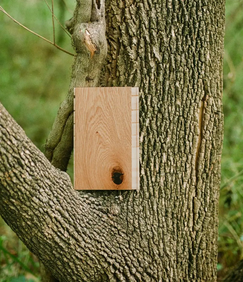 Forest natural oak flooring sample in a tree