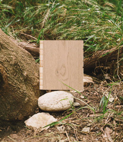 Ingrid matte hardwood flooring sample resting on a stone next to a tree