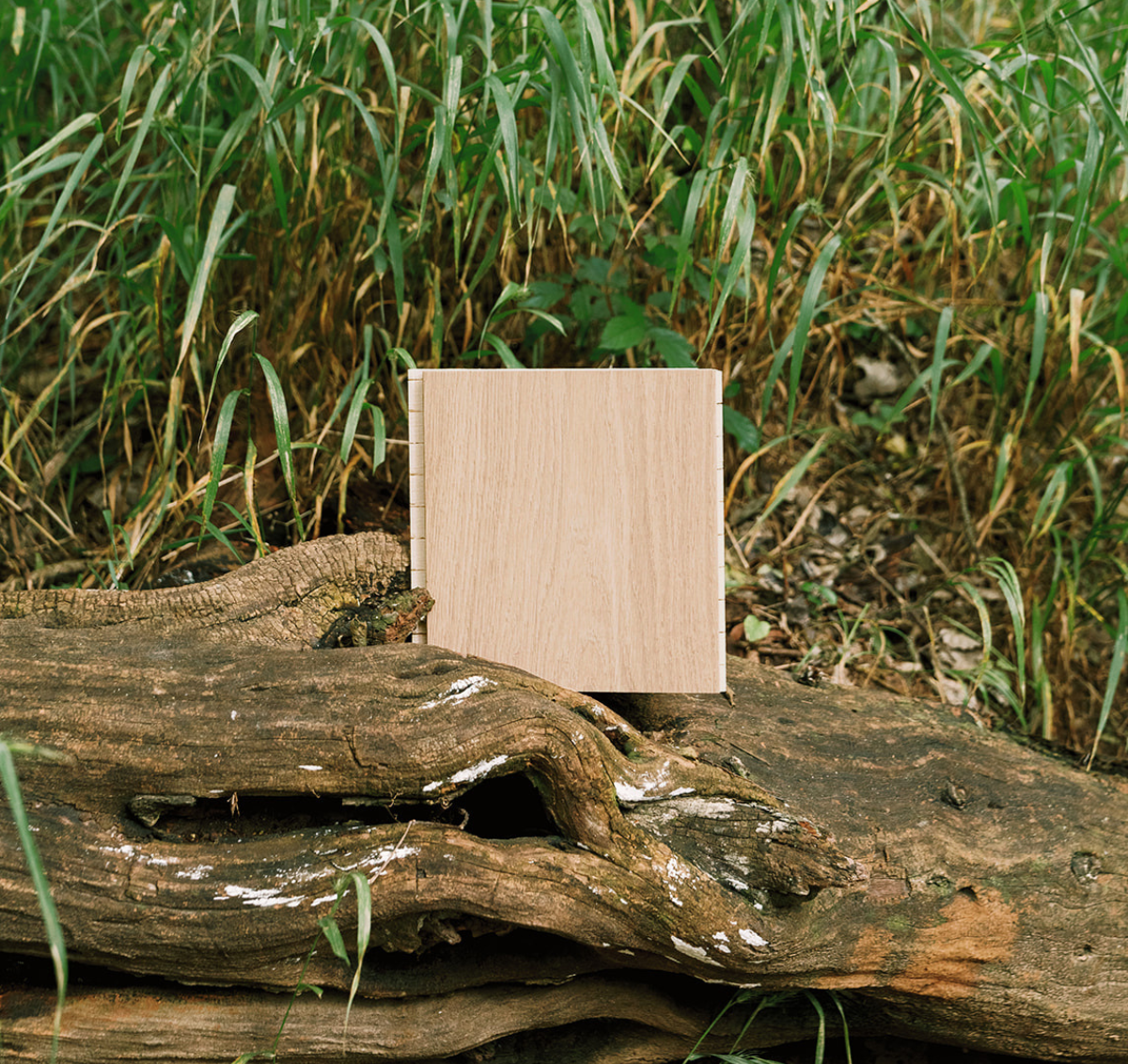 Lucia wide plank warm white oak flooring | Stuga