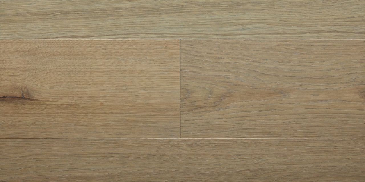 stuga ollie rebels collection