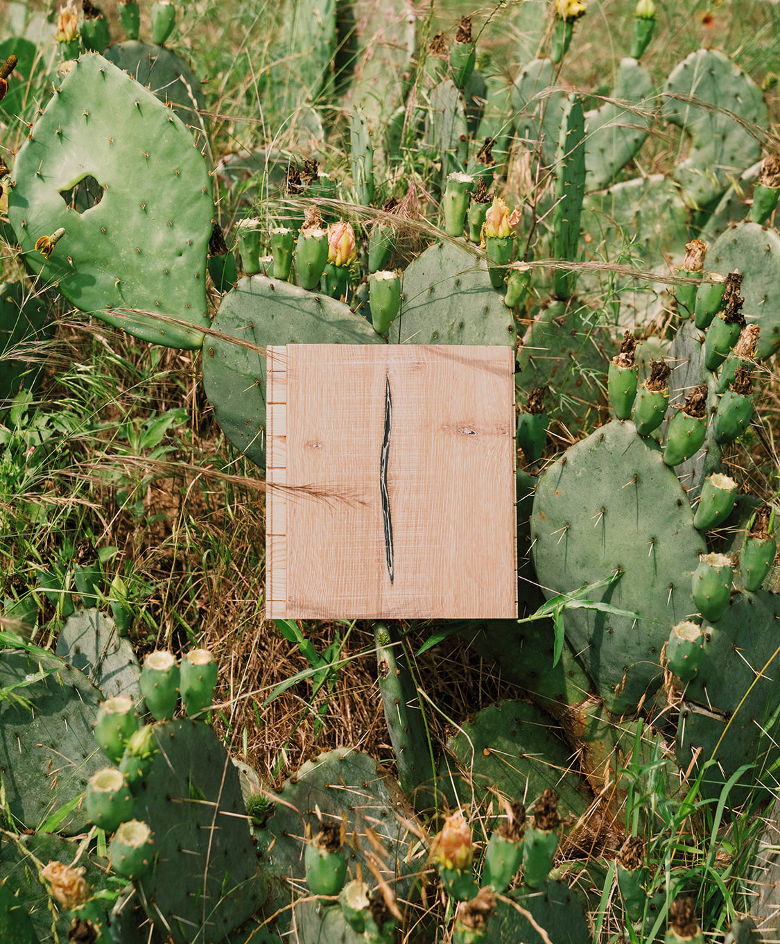 Pepper rustic wood flooring sample in a prickly pear cactus