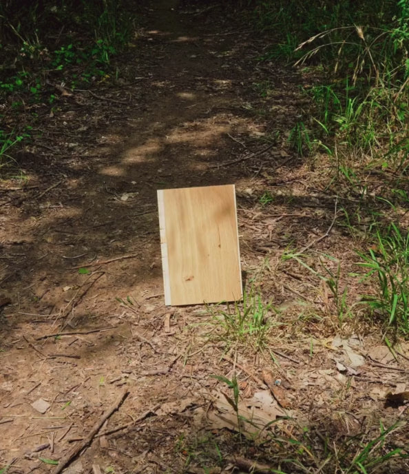 Drift natural white oak flooring sample by Stuga on a forest pathway