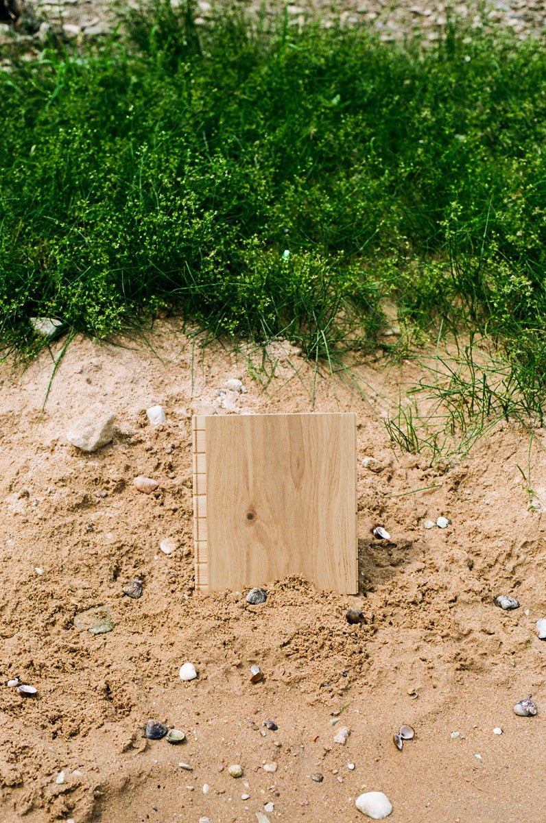 Shell white oak sample in a natural sand dune