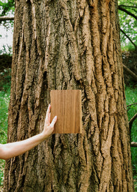 Zig Zag walnut flooring by Stuga held by a hand in front of a tree in the forest