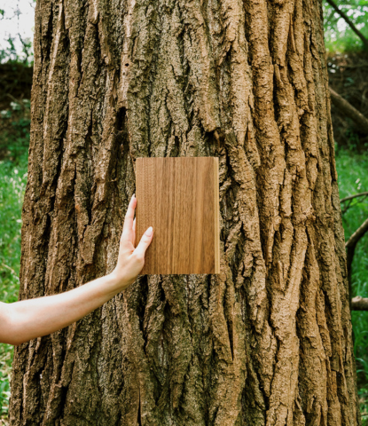 Zig Zag walnut flooring by Stuga held by a hand in front of a tree in the forest