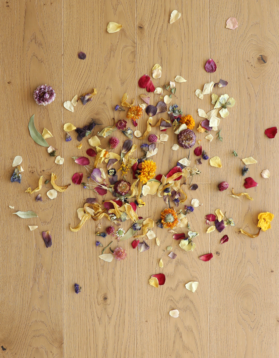 Confetti sitting on top of Faye Chris Loves Julia Stuga engineered hardwood flooring